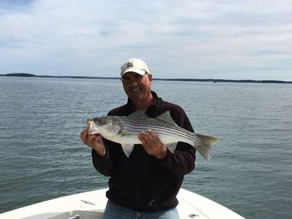 About Casco Bay Mooring | Casco Bay Maine